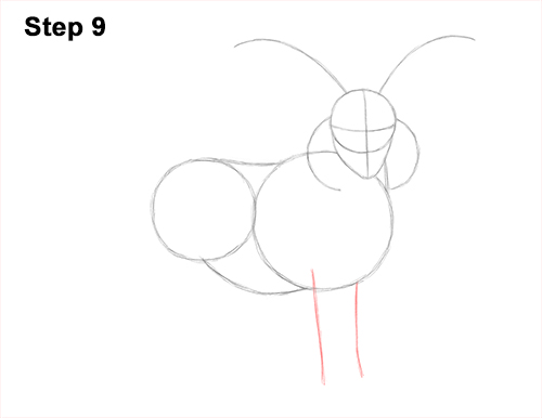 How to Draw Jacob Sheep 9 How to Draw Jacob Sheep Four Horns Ram 9