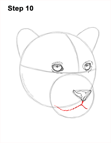 Draw a Jaguar Head 10 How to Draw a Jaguar Head Portrait Face 10