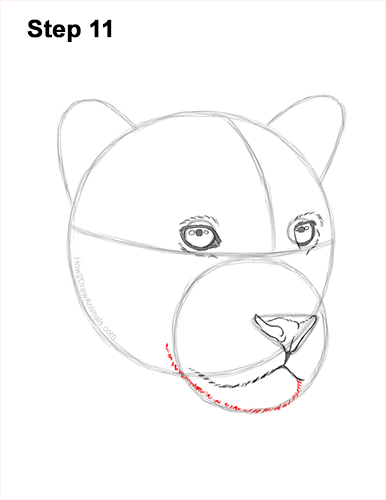 Draw a Jaguar Head 11 How to Draw a Jaguar Head Portrait Face 11