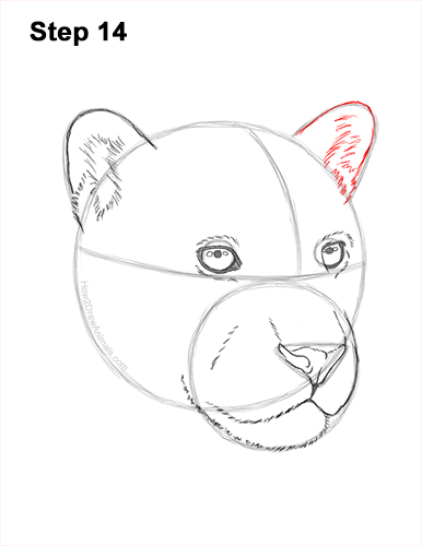 Draw a Jaguar Head 14 How to Draw a Jaguar Head Portrait Face 14