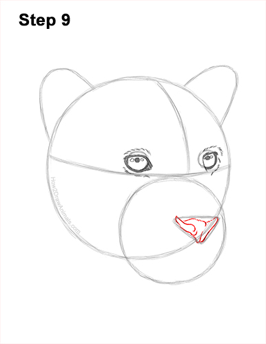 How to Draw a Jaguar Head Portrait Face 9
