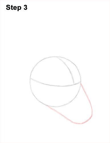 How to Draw a Red Kangaroo Head Portrait Face 3