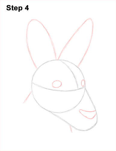 How to Draw a Red Kangaroo Head Portrait Face 4