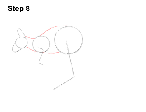 Draw a Kangaroo Jumping 8 How to Draw a Red Kangaroo Jumping Hopping Leaping 8