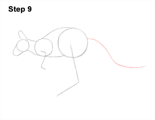 Draw a Kangaroo Jumping 9 How to Draw a Red Kangaroo Jumping Hopping Leaping 9