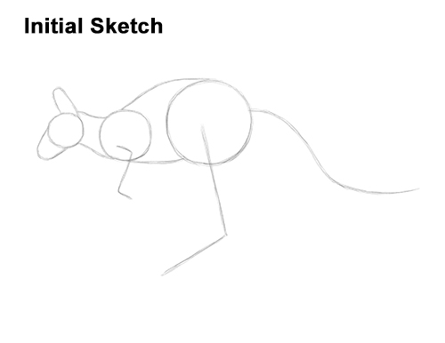 Draw a Kangaroo Jumping Guidelines How to Draw a Red Kangaroo Jumping Hopping Leaping Guide Lines