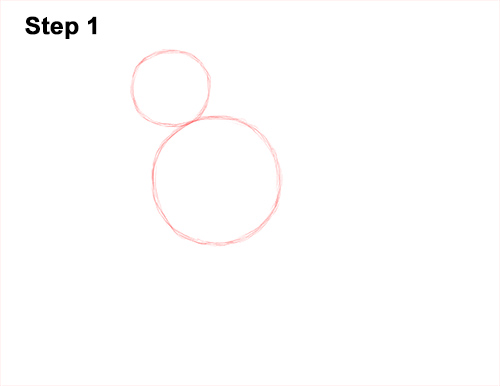 How to Draw an American Kestrel Falcon Sparrow Hawk 1