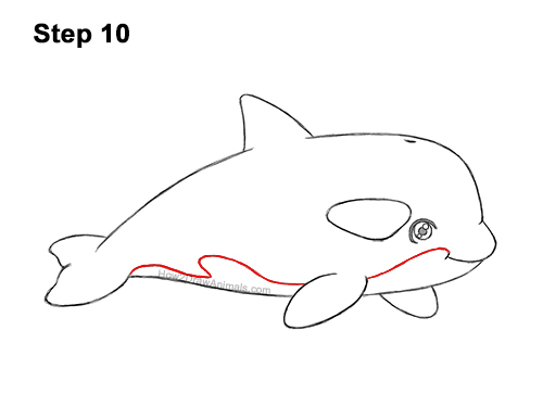 Draw a Cute Cartoon Killer Whale Orca 10 How to Draw a Cute Cartoon Killer Whale Orca Chibi Kawaii 10