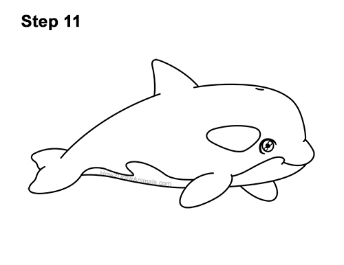Draw a Cute Cartoon Killer Whale Orca 11 How to Draw a Cute Cartoon Killer Whale Orca Chibi Kawaii 11