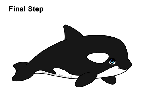 Draw a Cute Cartoon Killer Whale Orca How to Draw a Cute Cartoon Killer Whale Orca Chibi Kawaii