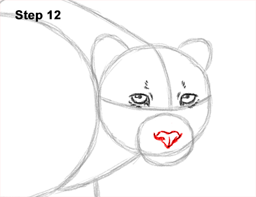 How to Draw a How to Draw a King Cheetah Walking 12