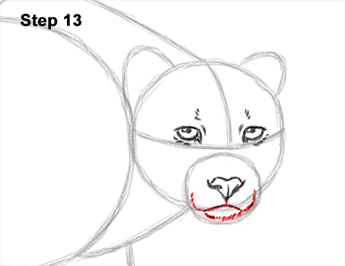 How to Draw a How to Draw a King Cheetah Walking 13