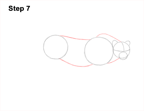 How to Draw a How to Draw a King Cheetah Walking 7
