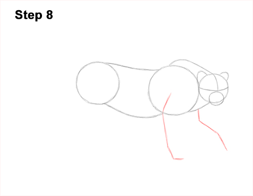 How to Draw a How to Draw a King Cheetah Walking 8