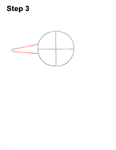 Draw a Belted Kingfisher Bird 3 How to Draw a Belted Kingfisher Female 3