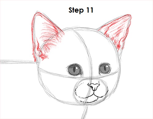 Kitten Drawing 11 Draw Kitten 11