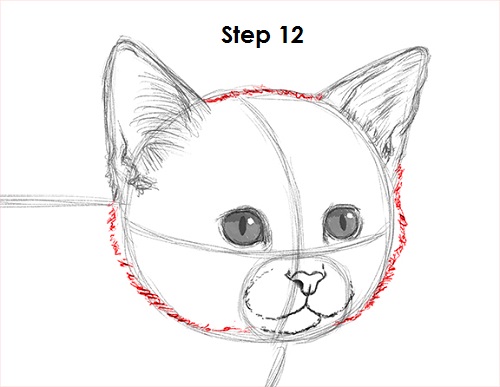 Kitten Drawing 12 Draw Kitten 12