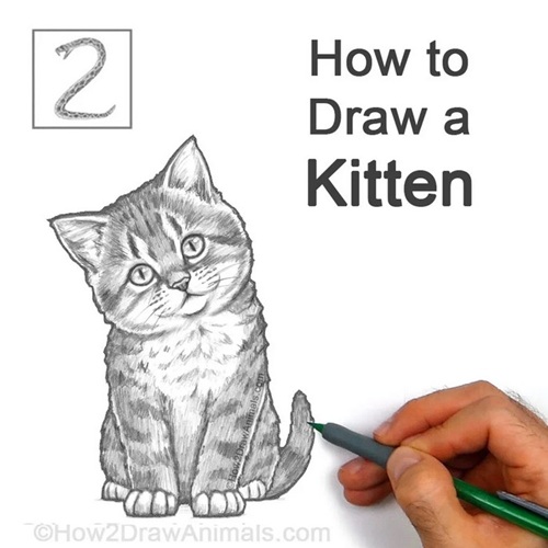 Completed Kitten Drawing