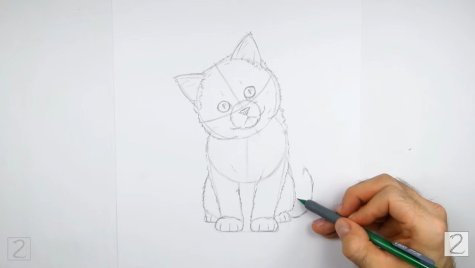 How to Draw Kitten Rest of Body and Tail