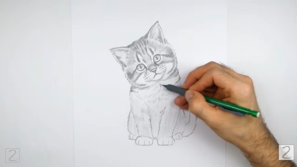 How to Continue Shading Kitten