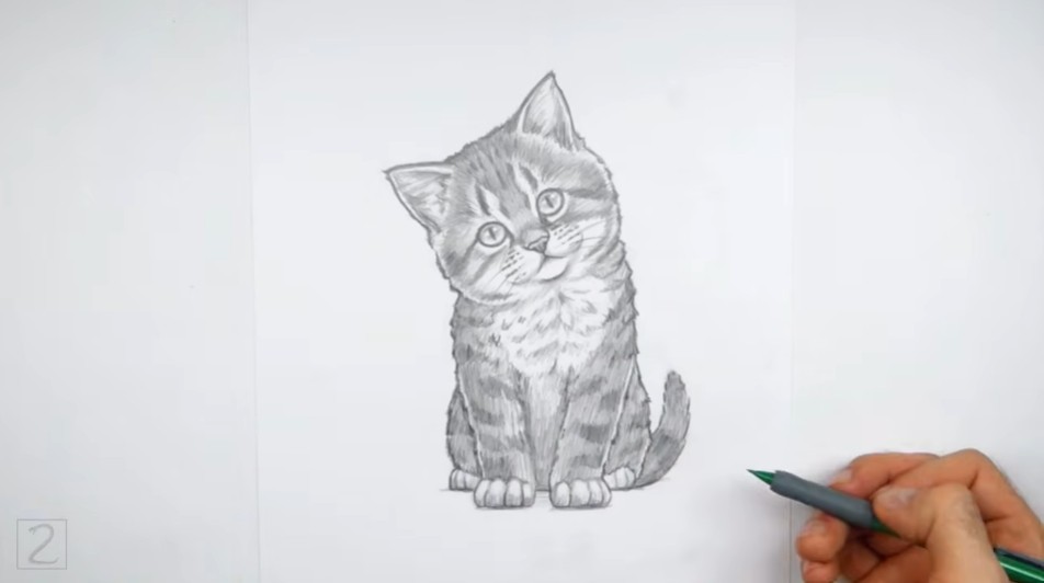 How to Add Outlines to Kitten