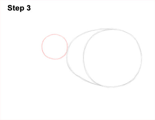 Kiwi Bird Drawing 3 Draw Kiwi Bird 3