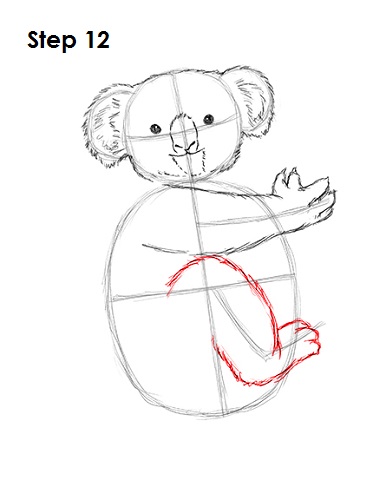 Draw Koala 12