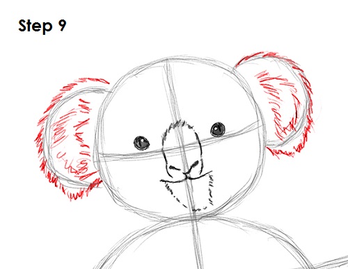 Koala Drawing 9 Draw Koala 9