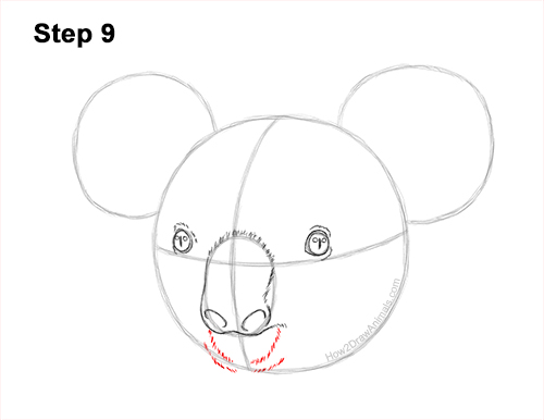 Draw a Koala Head Detail 9 How to Draw a Koala Head Face Portrait 9
