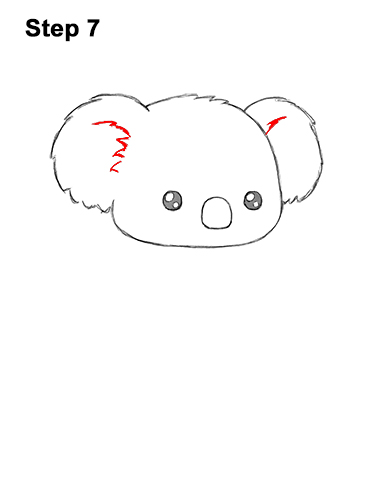How to Draw Cute Cartoon Koala Bear 7