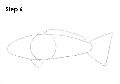 Draw Koi Fish 6