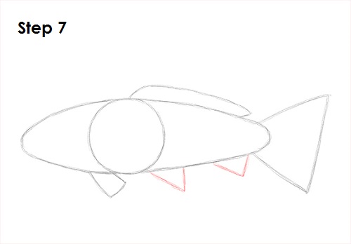 Draw Koi Fish 7
