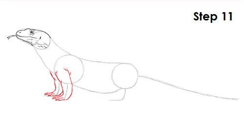 Draw Komodo Dragon 11
