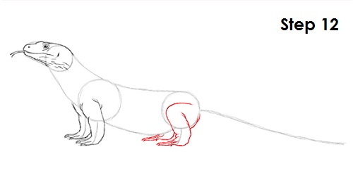 Draw Komodo Dragon 12