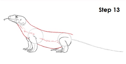 Draw Komodo Dragon 13