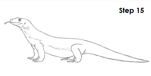 Komodo Dragon Drawing 15 Draw Komodo Dragon 15