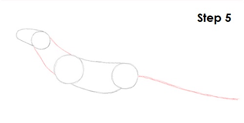 Draw Komodo Dragon 5
