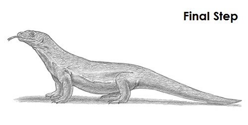 Komodo Dragon Drawing Last Draw Komodo Dragon Last