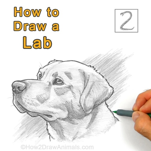 Final Drawing
