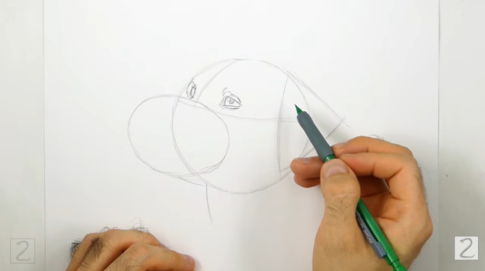 Draw the Eyes