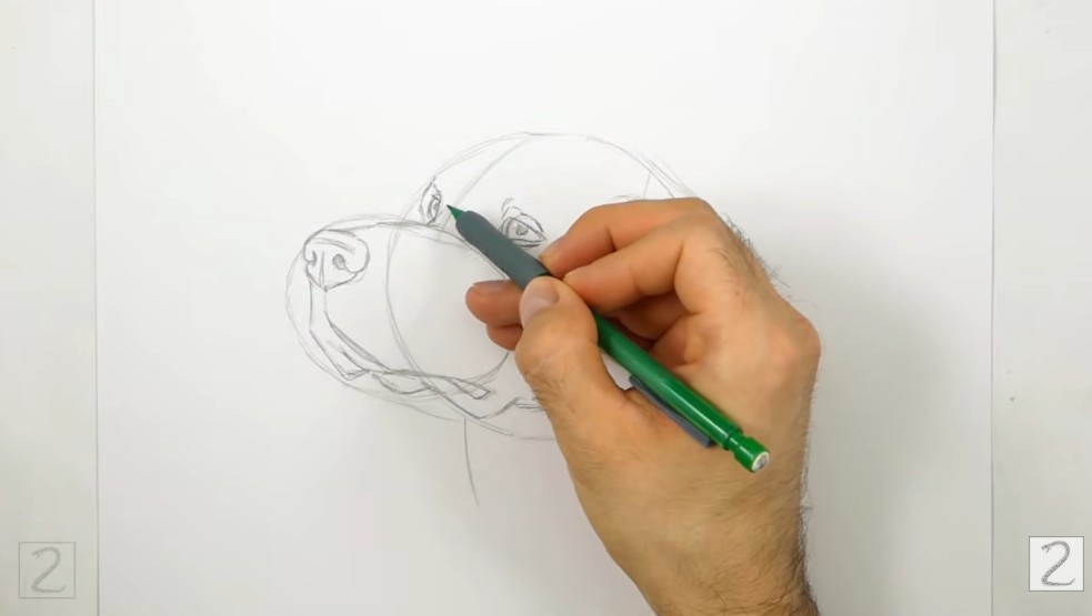 Add the Nose, Mouth, and Muzzle