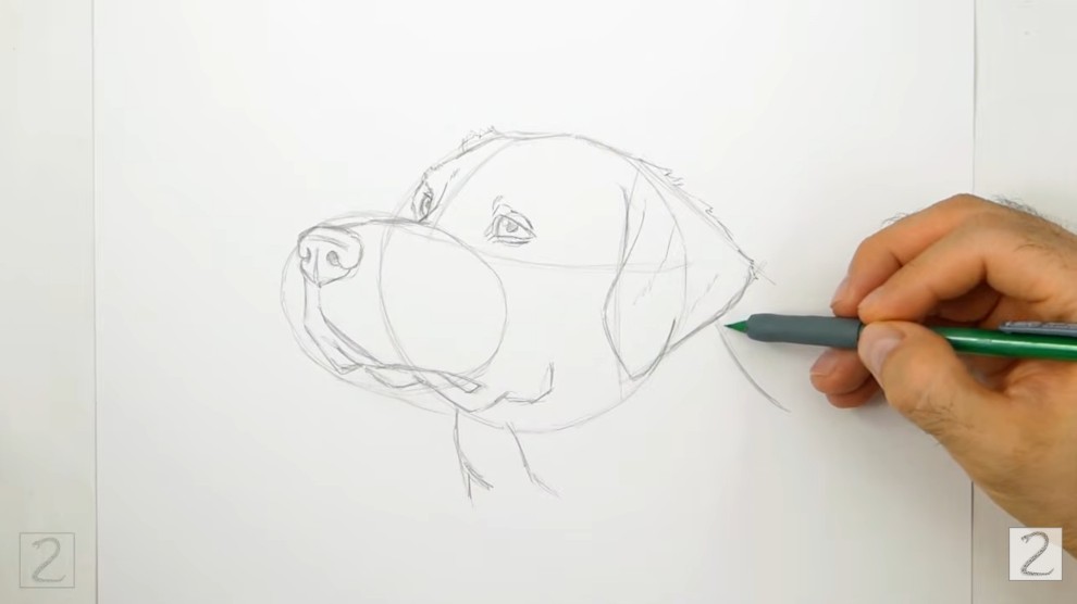 Finish the Ear and Head
