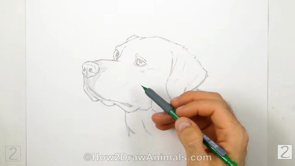 Erase Guides and Begin Shading