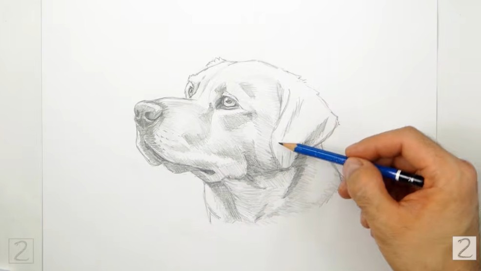 Continue Shading