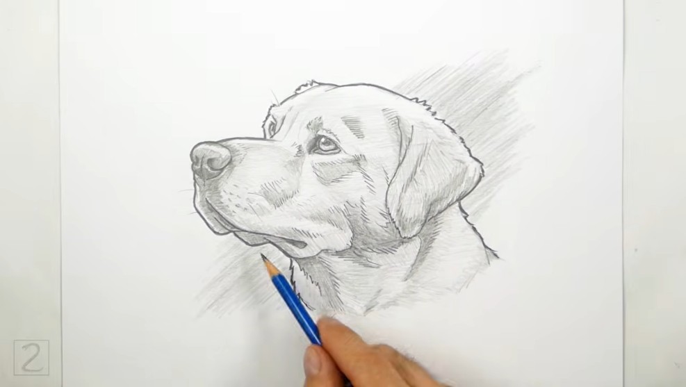 Add an Outline and Background Shading