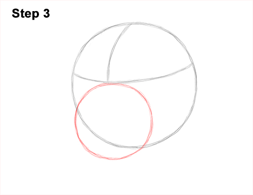 How to Draw Dog Labrador Retriever Head Portrait 3