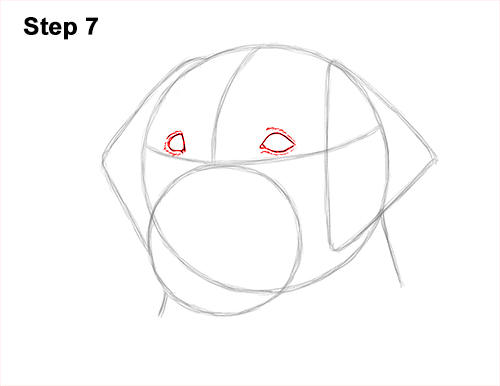 Draw Labrador Retirever Dog Head 7 How to Draw Dog Labrador Retriever Head Portrait 7
