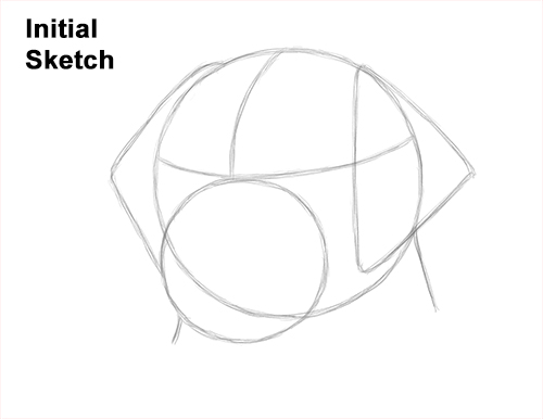 Draw Labrador Retirever Dog Head Guidelines How to Draw Dog Labrador Retriever Head Portrait Guide Lines