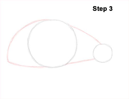 Ladybug Drawing 3 Draw Ladybug 3