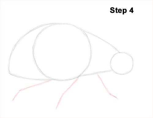 Ladybug Drawing 4 Draw Ladybug 4